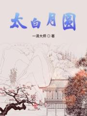 太白捉月图