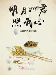明月照我心下一句