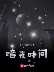 暗夜什么