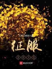征服第一部12