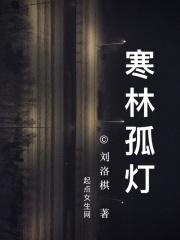寒江孤影江湖故人什么意思