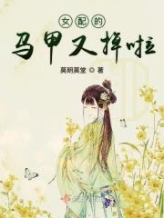 女配马甲文