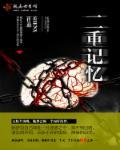 双重记忆理论