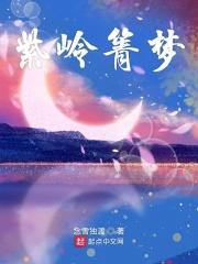 紫岭国际叠墅