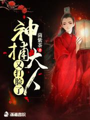 王牌机甲师