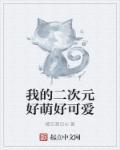 我的二次元