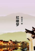 红楼梦手抄报简单好画