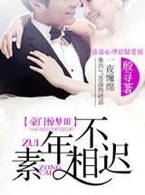 豪门惊梦iii素年不相迟讲的什么