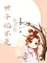 世子妃的作品集