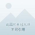 我以魔种铸长生txt