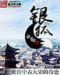 银狐拼音