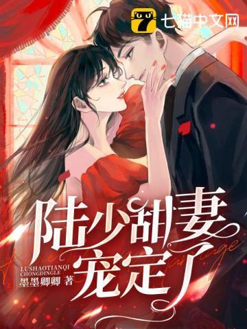 陆少甜妻宠定了tXt