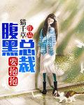 腹黑总裁要抱抱全文