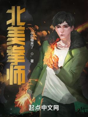 美国拳师