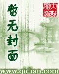 赌石翡翠王全文免费阅读