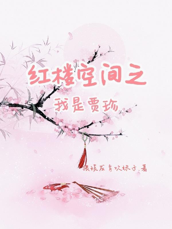 带着空间红楼梦