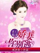 再见燕子是什么电影