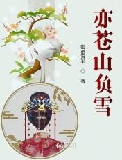 苍山负雪怎么玩