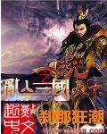 三国之乱入猛将