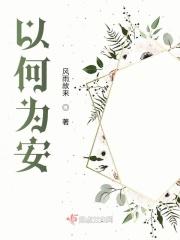 何以安放的意思