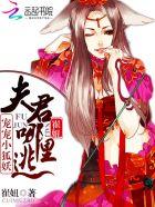 宠夫免费阅读