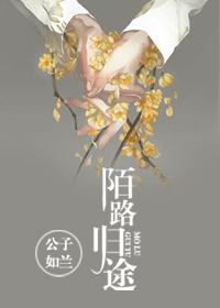 陌路归途短剧全集免费观看
