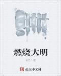 燃烧大地全集