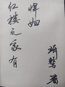 红楼之林家有子无防盗