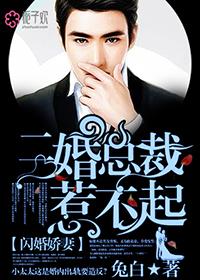 闪婚大总裁 娇妻是二婚