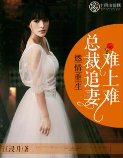 总裁重生追妻记