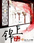 锦上添花的意思
