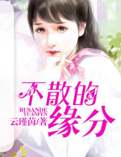 不散不见歌曲