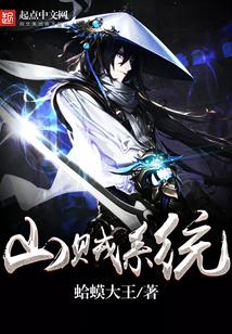 最强山贼系统评论