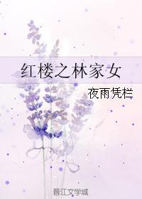 红楼之林家宗妇
