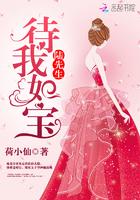 陆先生待我如宝