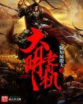 老司机 大神