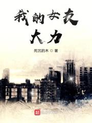 我的女友诸葛大力笔趣阁