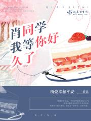 我从未忘记你是什么歌