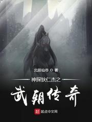 神探狄仁杰之武状元免费阅读