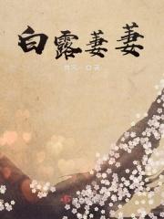 白露未晞蒹葭萋萋