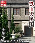 铁血大民国校对