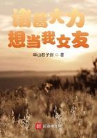 诸葛大力我媳妇