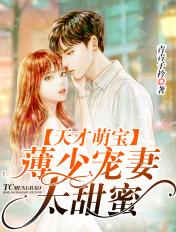 薄少的天价新妻