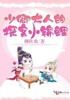 少卿大人什么意思